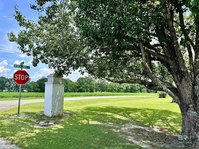 view of property's community featuring a lawn