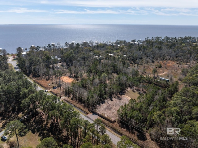 10787 Mary Ann Beach Rd, Fairhope AL, 36532 land for sale