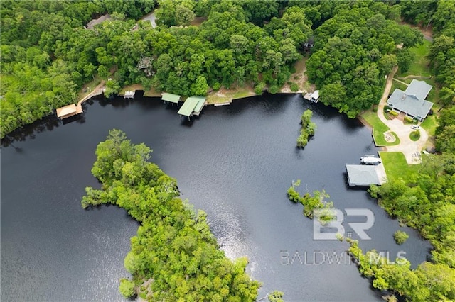 aerial view with a water view