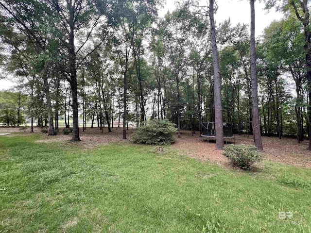 151 Mockingbird Ln, Atmore, AL 36502 - view of grassy yard with a trampoline