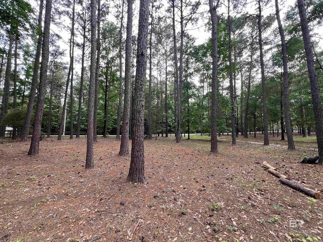 151 Mockingbird Ln, Atmore, AL 36502 - view of local wilderness