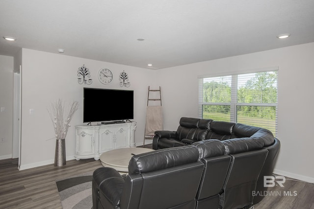 10909 Blacktail Loop, Pensacola, FL 32526 - living room featuring wood finished floors and recessed lighting