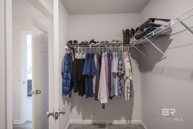10909 Blacktail Loop, Pensacola, FL 32526 - view of walk in closet