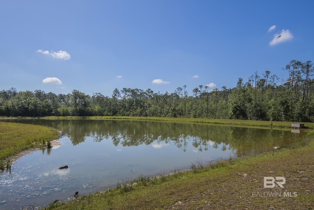 10909 Blacktail Loop, Pensacola, FL 32526 - water view featuring a heavily wooded area