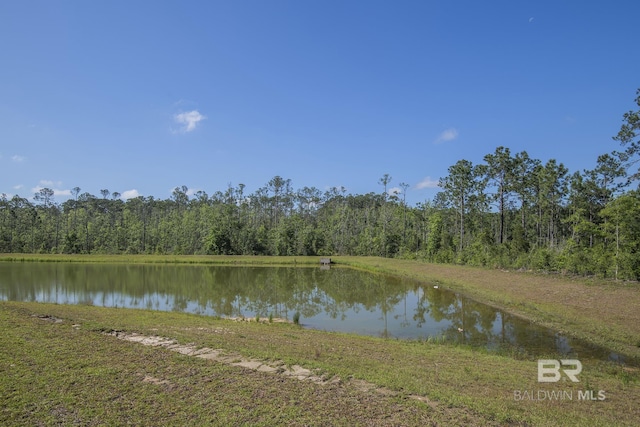 10909 Blacktail Loop, Pensacola, FL 32526 - water view with a heavily wooded area