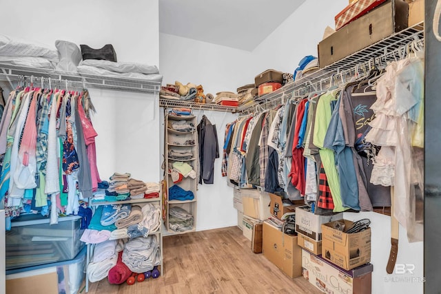 spacious closet featuring wood finished floors