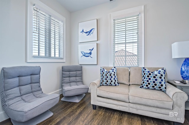 living room featuring dark wood-type flooring