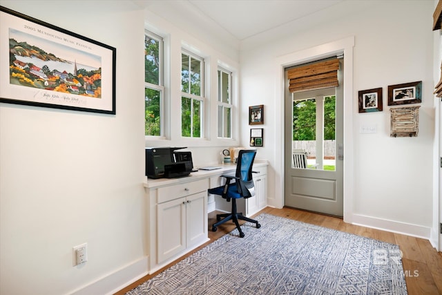 office space featuring light hardwood / wood-style floors and plenty of natural light