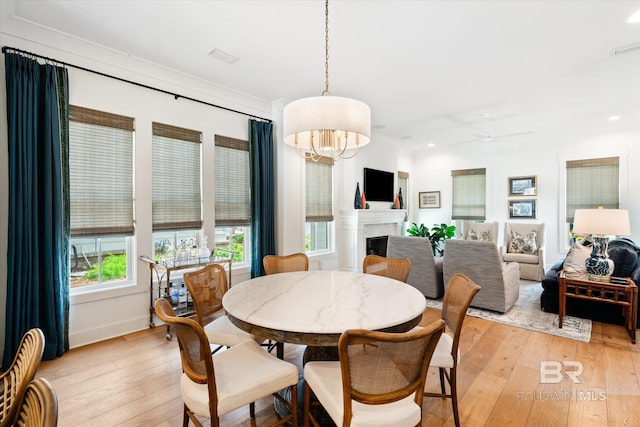 dining area with ceiling fan and light hardwood / wood-style floors