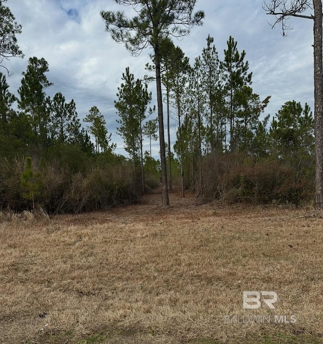 Hollingsworth Rd, Bay Minette AL, 36507 land for sale