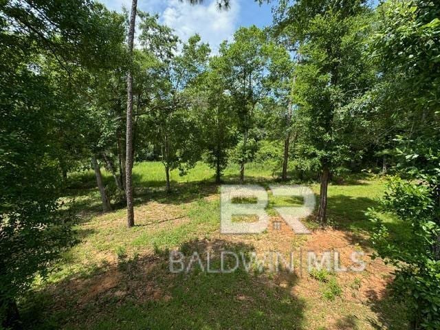 32807 N Pickens Ave, Lillian, AL 36549 - view of community