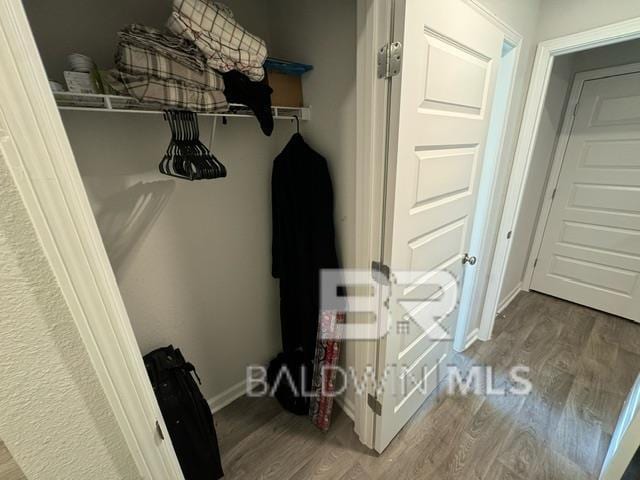 32807 N Pickens Ave, Lillian, AL 36549 - view of closet