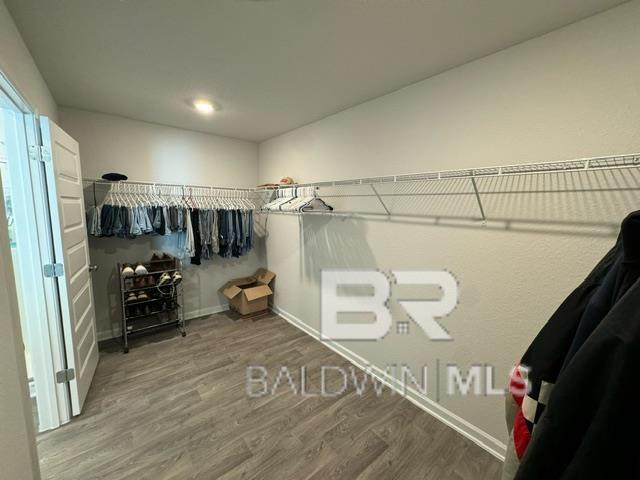 32807 N Pickens Ave, Lillian, AL 36549 - walk in closet with wood finished floors