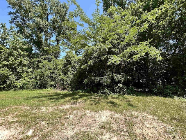 Listing photo 2 for 134 Confederate Dr, Spanish Fort AL 36527