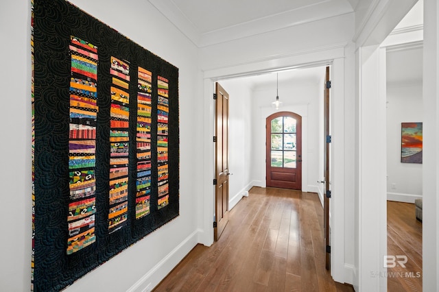 interior space featuring hardwood / wood-style floors and crown molding