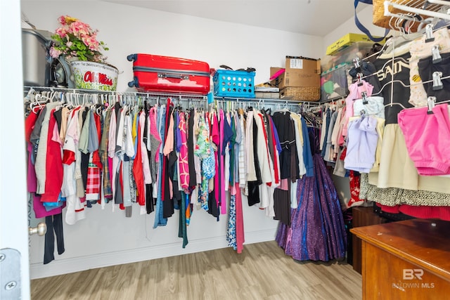 spacious closet featuring wood finished floors