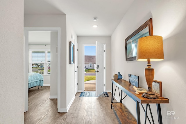 foyer entrance featuring wood finished floors and baseboards