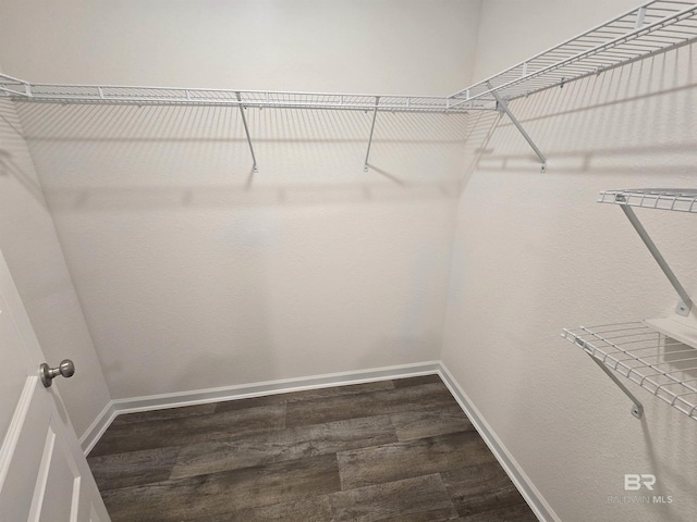 spacious closet featuring wood finished floors