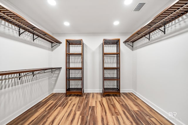 walk in closet featuring visible vents and wood finished floors