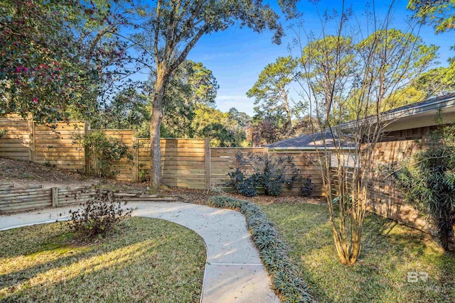 view of yard with a fenced backyard