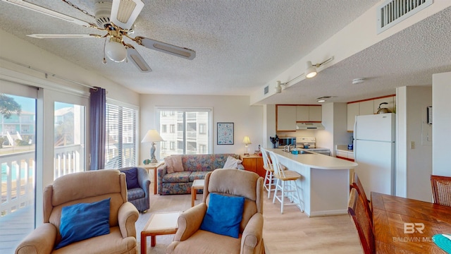 living room with ceiling fan, a textured ceiling, and light hardwood / wood-style flooring