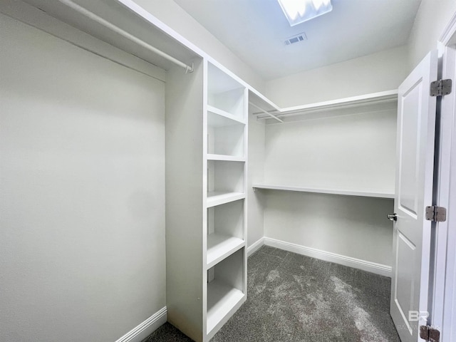 10340 Gayfer Road Ext, Fairhope, AL 36532 - spacious closet with visible vents and dark colored carpet