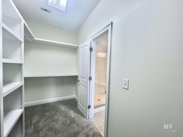 10340 Gayfer Road Ext, Fairhope, AL 36532 - walk in closet featuring carpet floors and visible vents