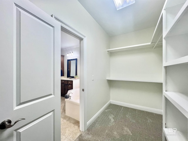 10340 Gayfer Road Ext, Fairhope, AL 36532 - spacious closet with light colored carpet
