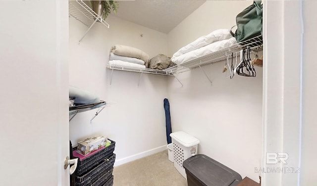 29235 Perdido Beach Blvd Unit 203, Orange Beach, AL 36561 - walk in closet with carpet flooring