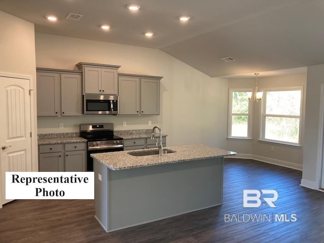 kitchen featuring a kitchen island with sink, dark hardwood / wood-style floors, sink, and stainless steel appliances