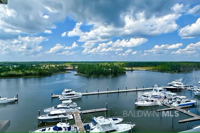 water view with a boat dock