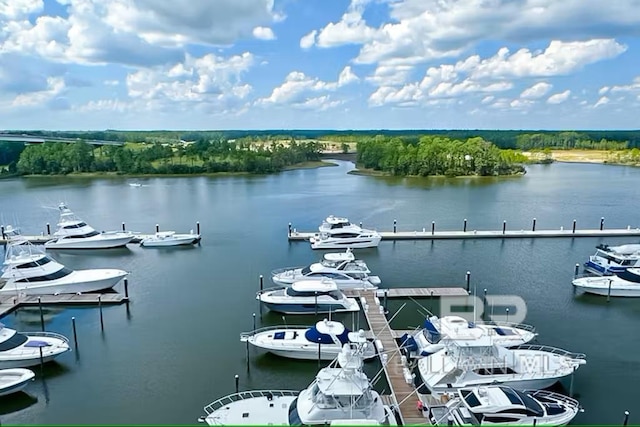 water view featuring a dock