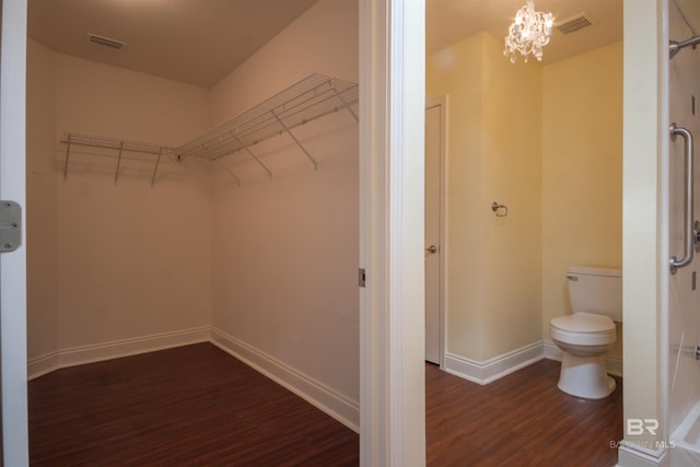 spacious closet featuring a chandelier and dark hardwood / wood-style floors