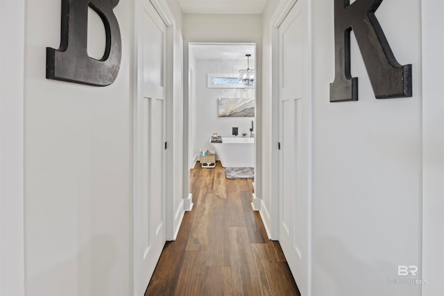 hall featuring dark hardwood / wood-style floors