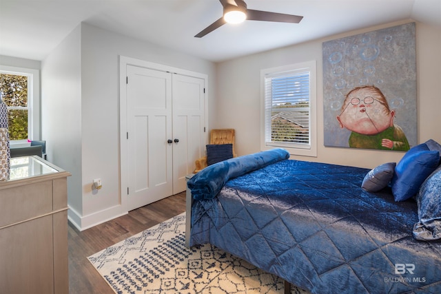 bedroom featuring multiple windows, ceiling fan, a closet, and dark hardwood / wood-style floors