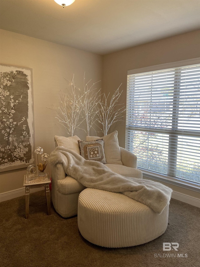 living area with carpet and baseboards