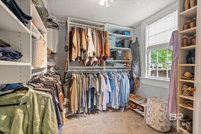 20 Hurlbert St, Mobile, AL 36607 - walk in closet featuring carpet floors