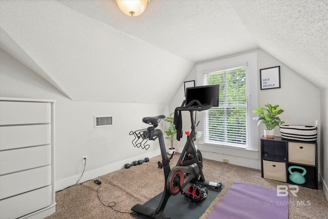 20 Hurlbert St, Mobile, AL 36607 - workout room with a textured ceiling, vaulted ceiling, and carpet flooring