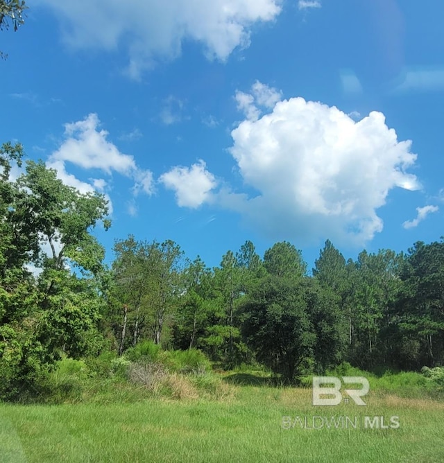 22003 County Road 68 N, Robertsdale AL, 36567 land for sale