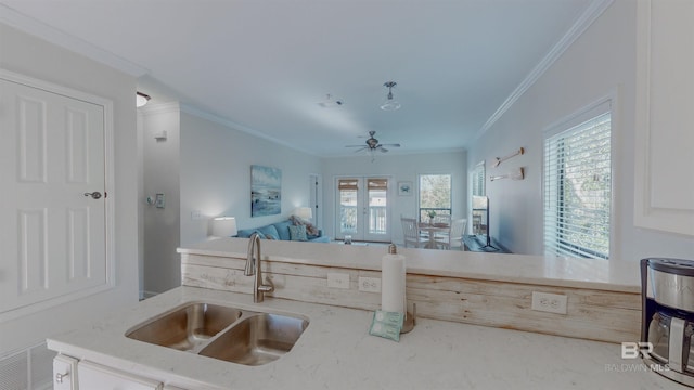 kitchen featuring ornamental molding, sink, and ceiling fan