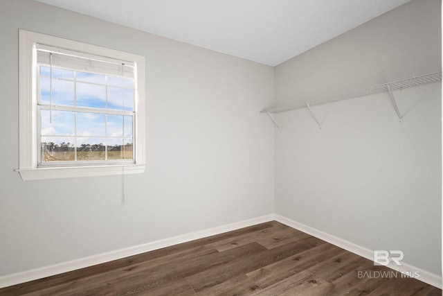 spacious closet with dark wood-type flooring