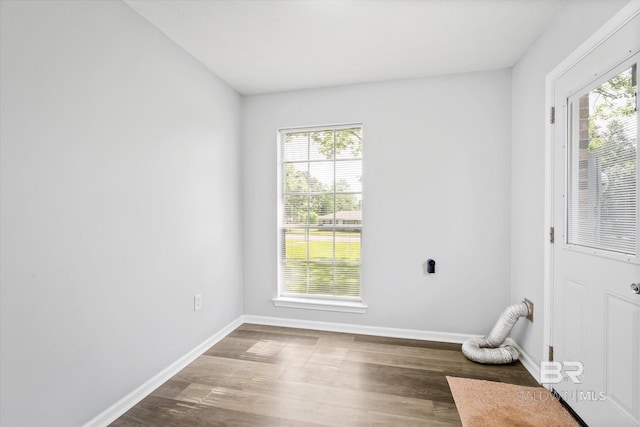 spare room with wood-type flooring and a wealth of natural light