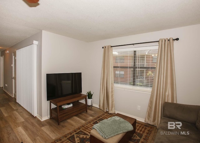 living room featuring a textured ceiling and wood-type flooring