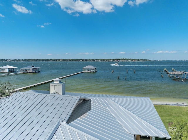 dock area with a water view