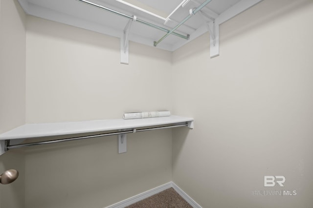 602 W 4th St, Bay Minette, AL 36507 - walk in closet featuring carpet