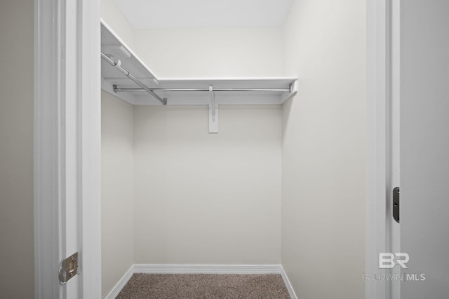 602 W 4th St, Bay Minette, AL 36507 - walk in closet with carpet