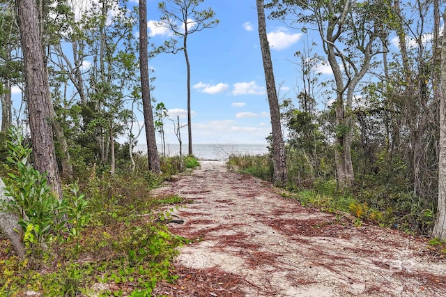 Listing photo 3 for 00 State Highway 180, Gulf Shores AL 36542