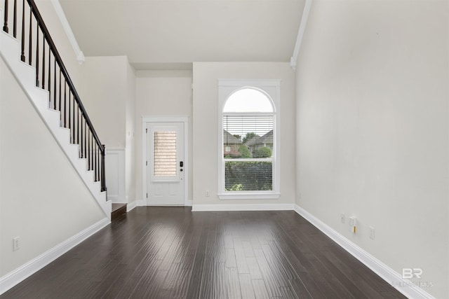 foyer entrance featuring dark wood-type flooring