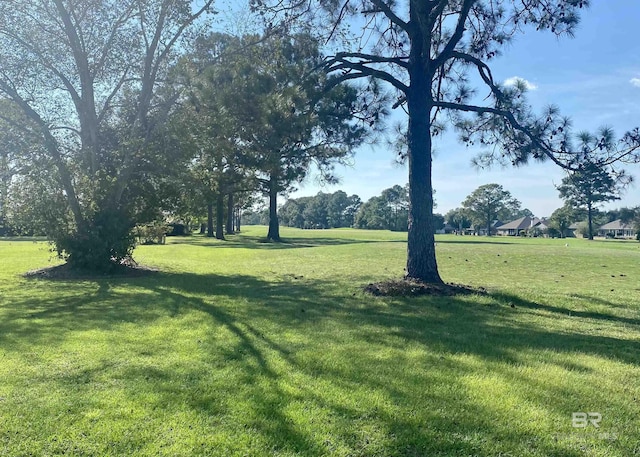 22835 County Road 12, Foley, AL 36535 - view of green lawn