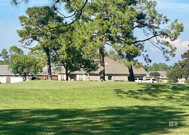 view of home's community with a yard